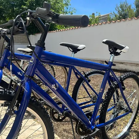 Mdf Monolocale A 100 Mt Dal Mare * Fregenae